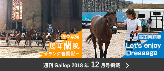 2018年12月掲載